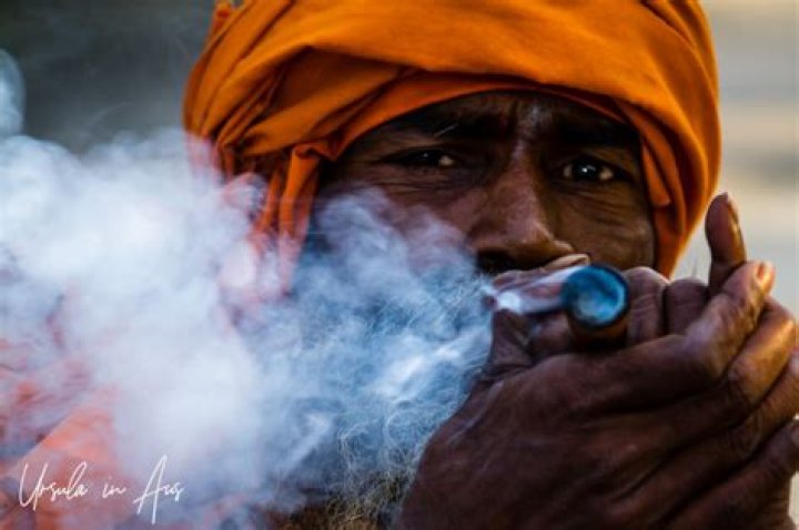 What do sadhus smoke?