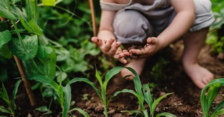What do soil conservationists do?