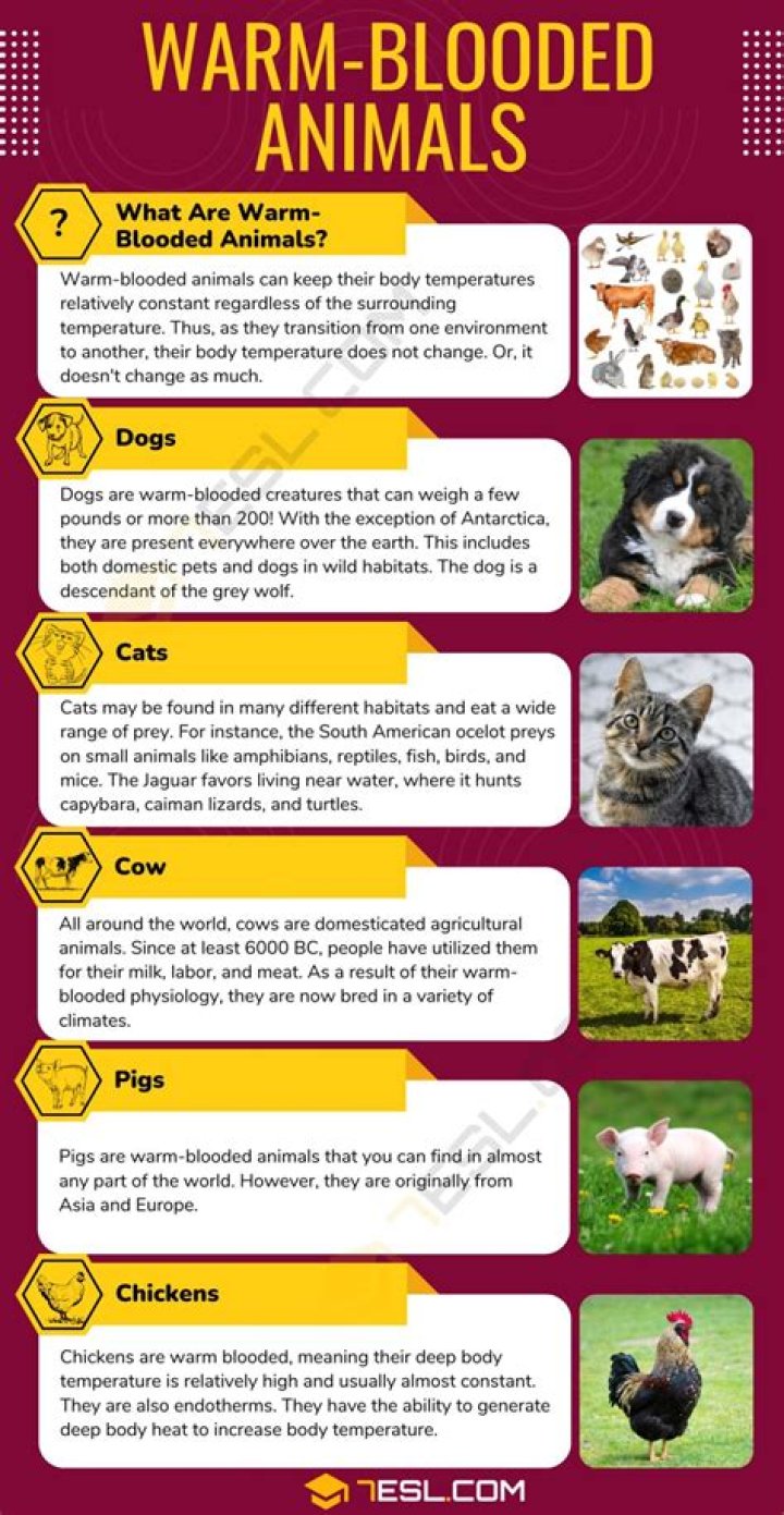 What do you mean by cimmerian?