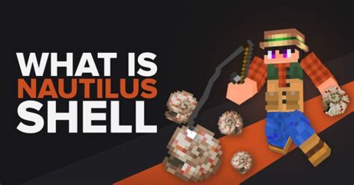 What does a nautilus shell do?