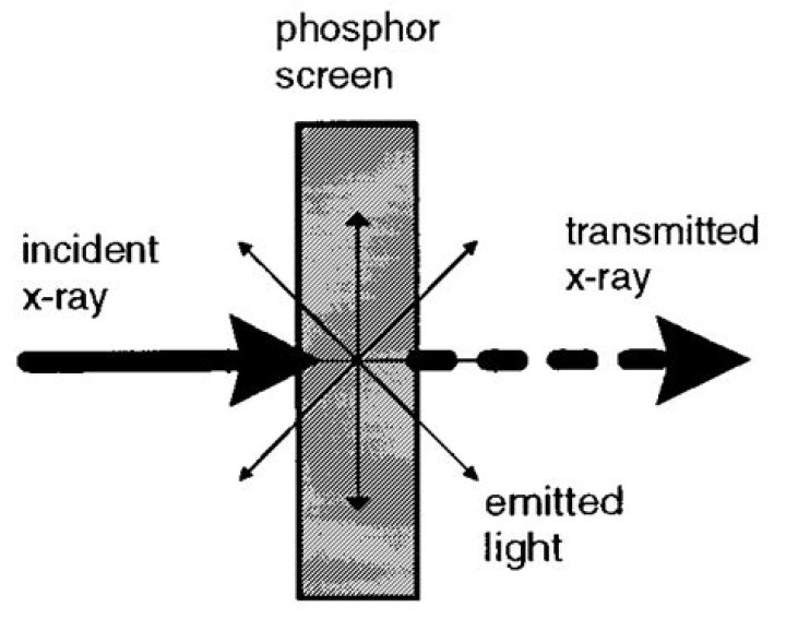 What does a phosphor screen measure?