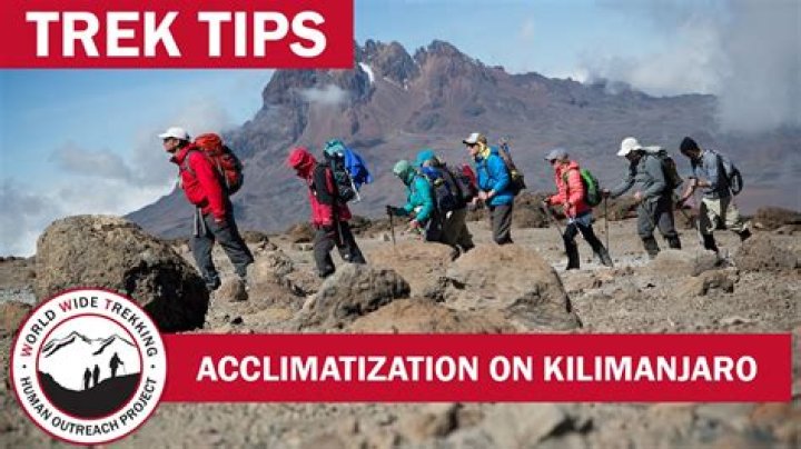 What does acclimatize mean?