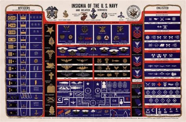 What does an ensign do in the navy?