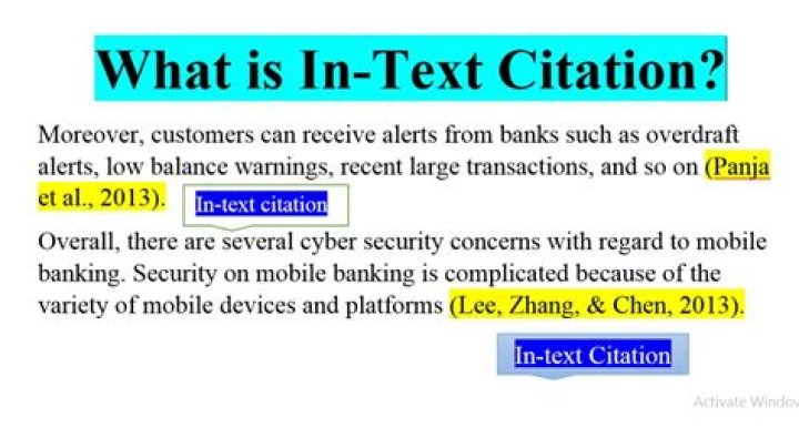 What does an in text citation look like?