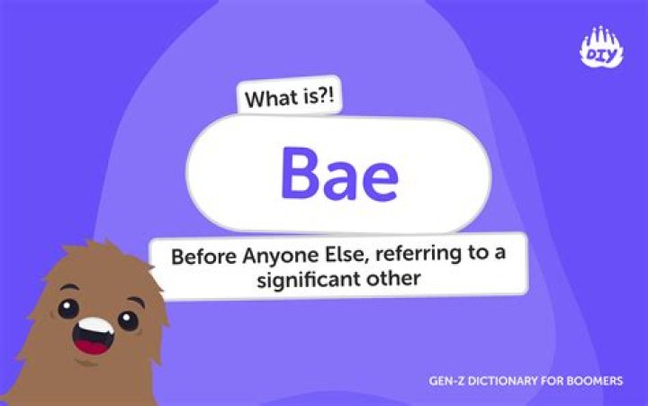 What does berezina mean?