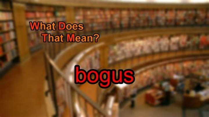 What does bogus mean in slang?