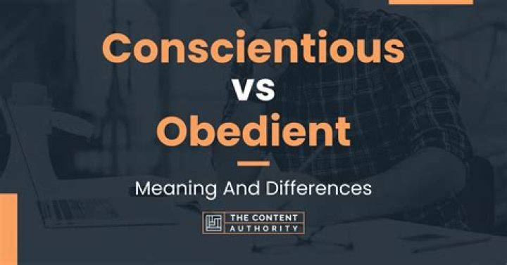 What does conscientious objector mean?
