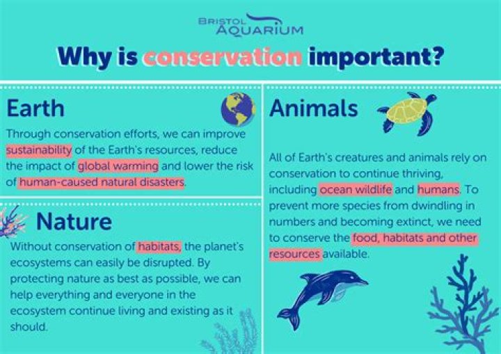What does conservation do?