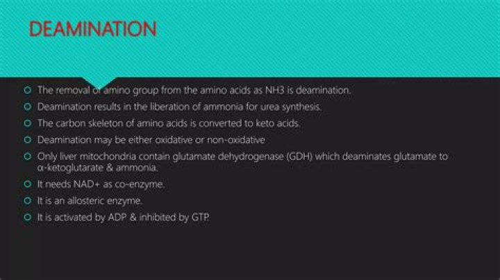 What does deaminated do?