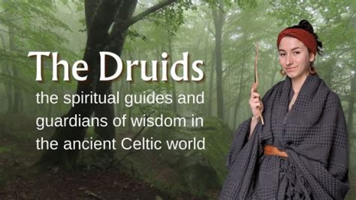 What does druidism meaning in english?