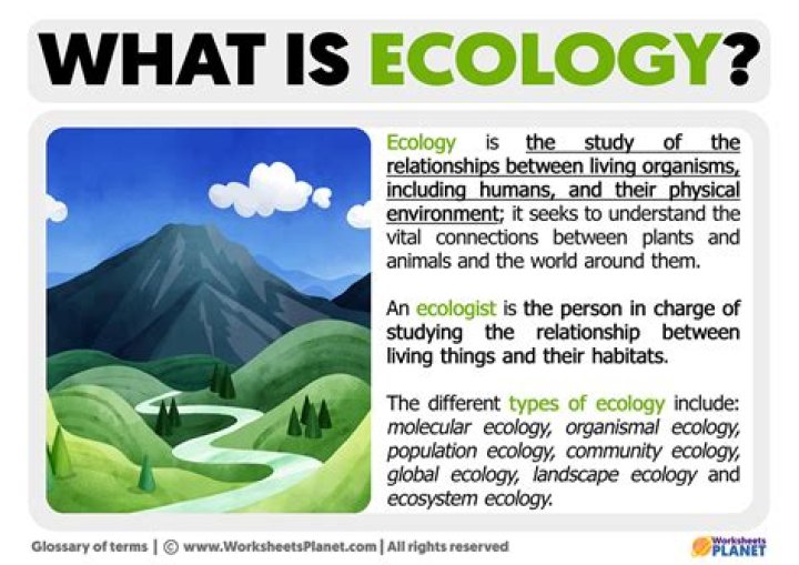 What does eco in ecology mean?