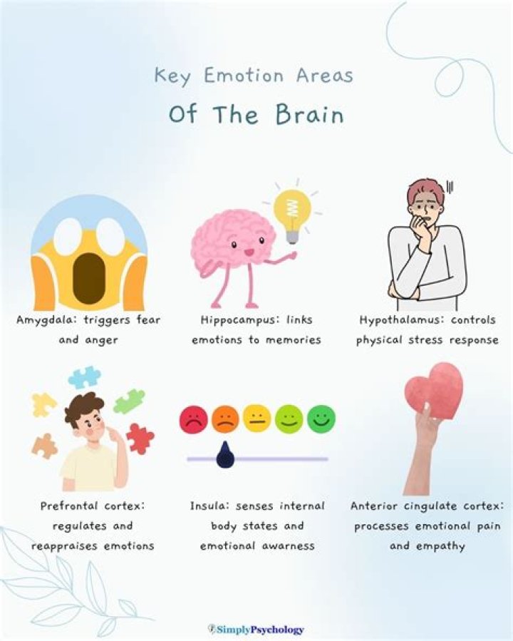 What does emotional lability mean?