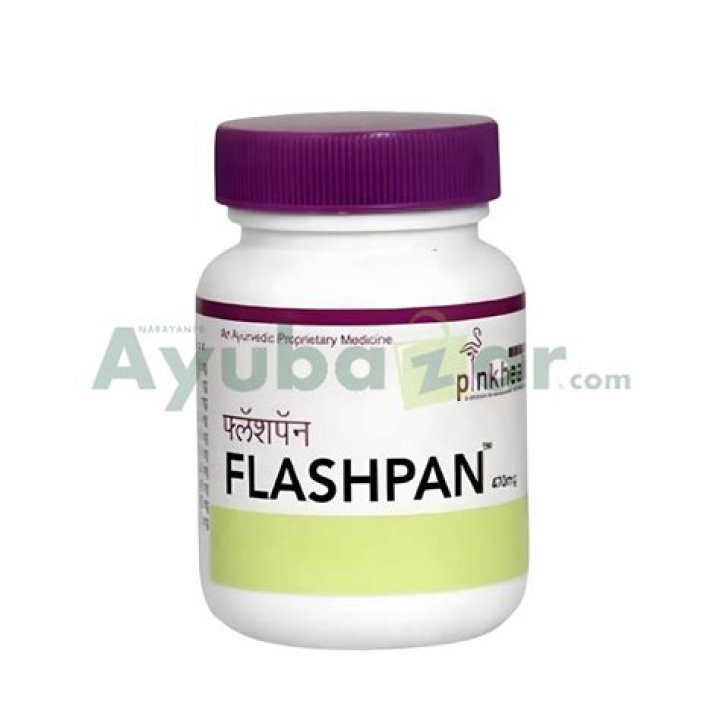 What does flashpan mean?