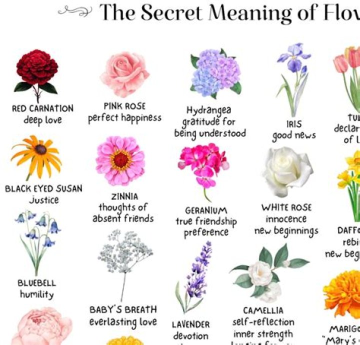 What does flowers symbolize?
