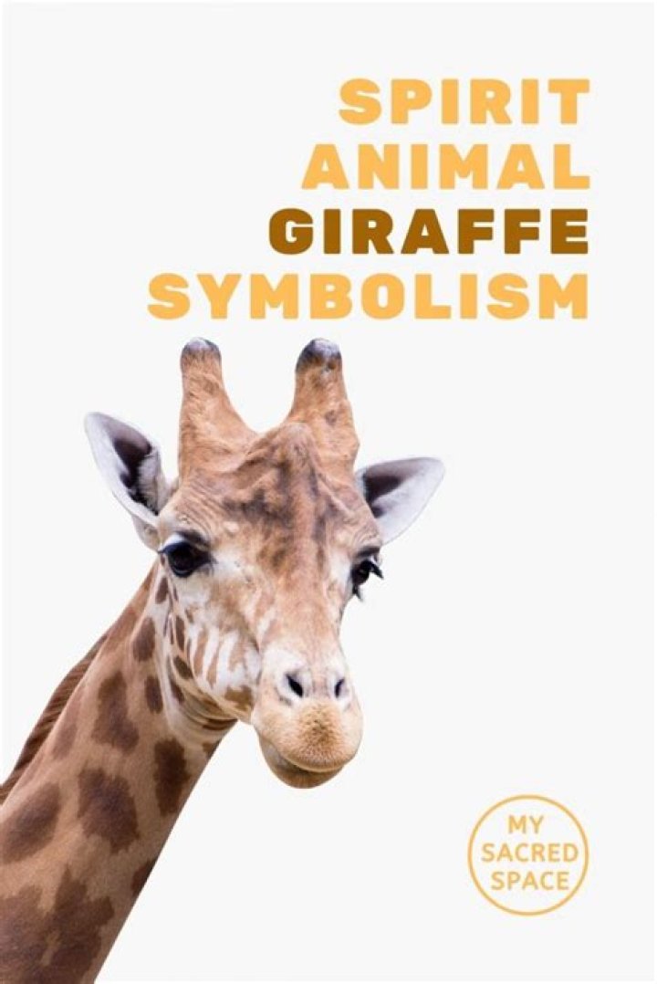 What does giraffe symbolize?