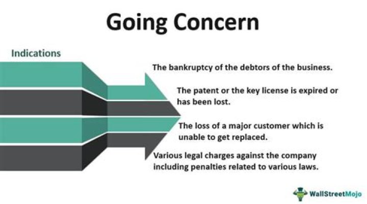 What does going concern mean?