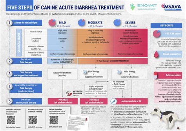 What does hepatopathy mean in dogs?