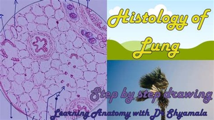 What does histophysiology meaning?