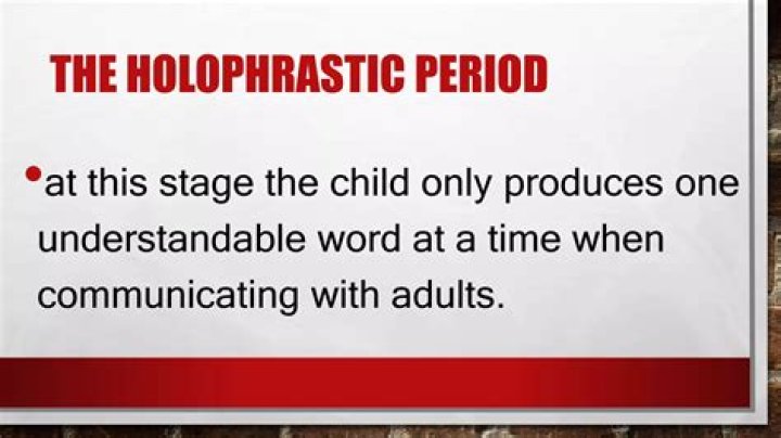 What does holophrastic mean in literature?