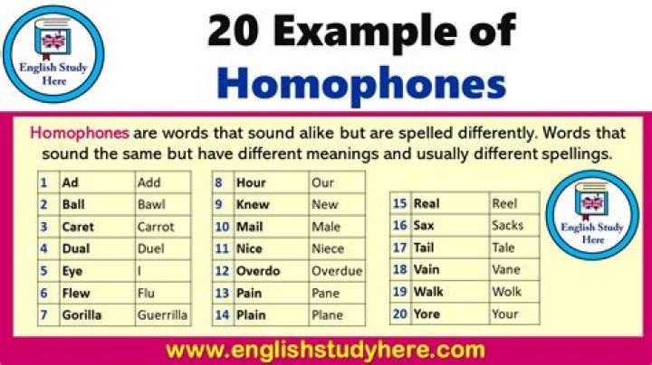 What does homophone mean?