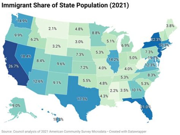 What does immigrant status mean?