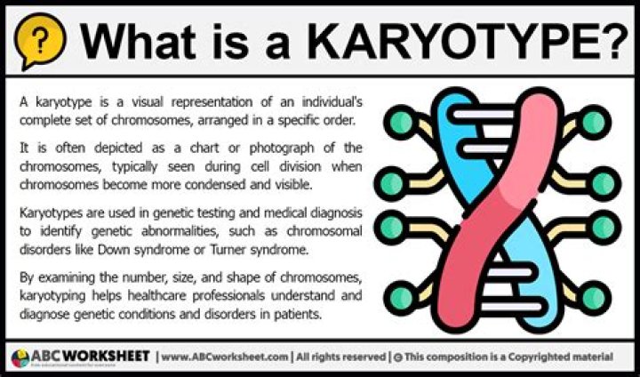 What does karyo mean in biology?