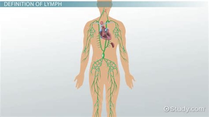 What does lymphology meaning?