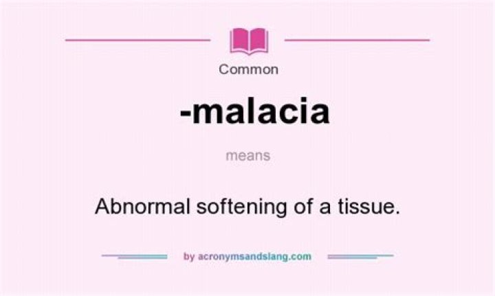 What does malacia mean?