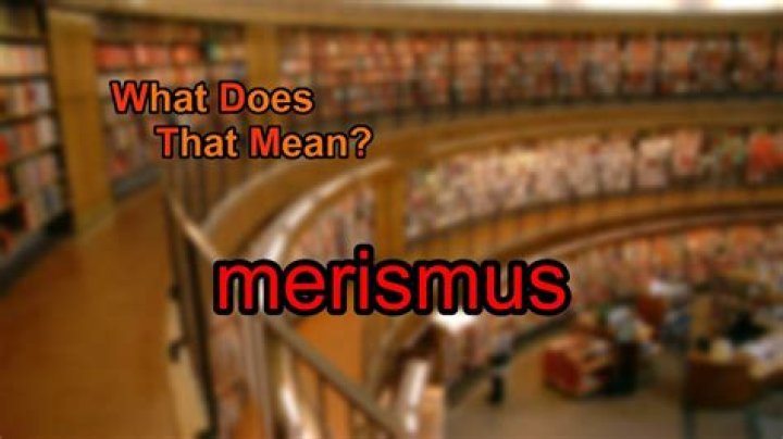 What does merismus mean?