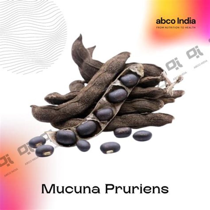 What does mucuna taste like?