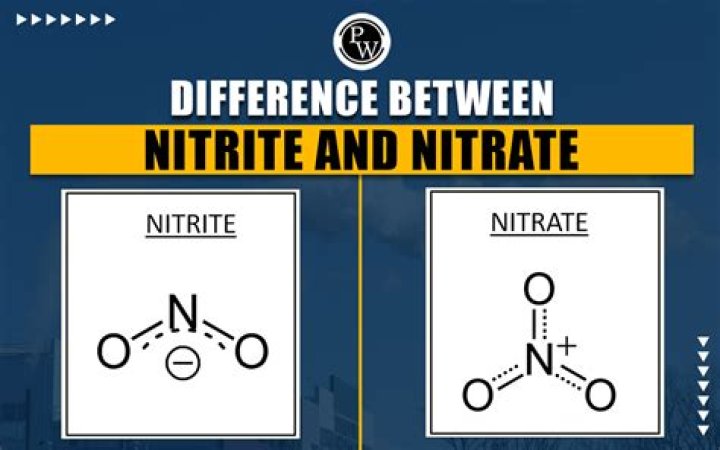 What does nitrite mean?