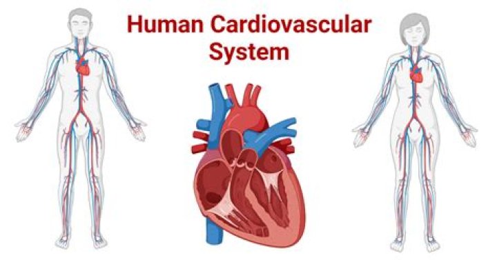 What does overdoing cardio mean?