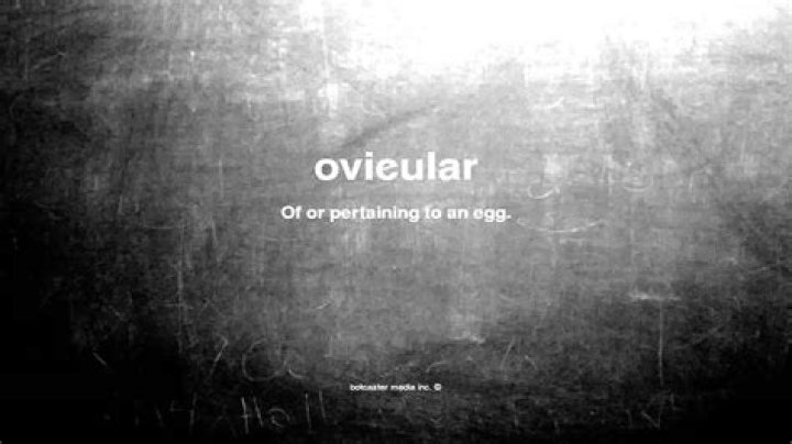 What does ovicular mean?