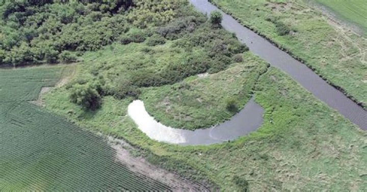What does oxbow mean?