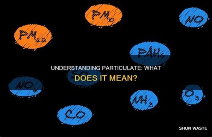 What does particulate mean?