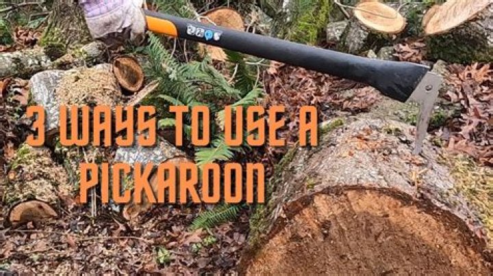What does pickaroon mean?