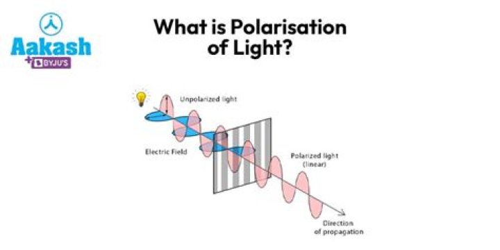 What does polarised mean in chemistry?