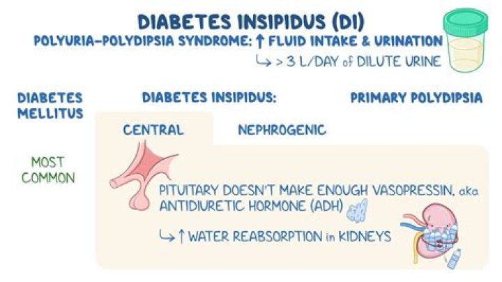 What does polydipsia feel like?