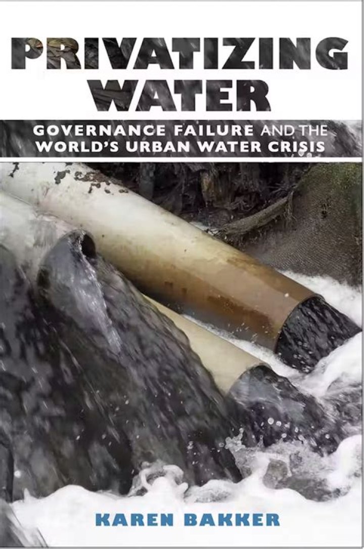 What does privatizing water mean?