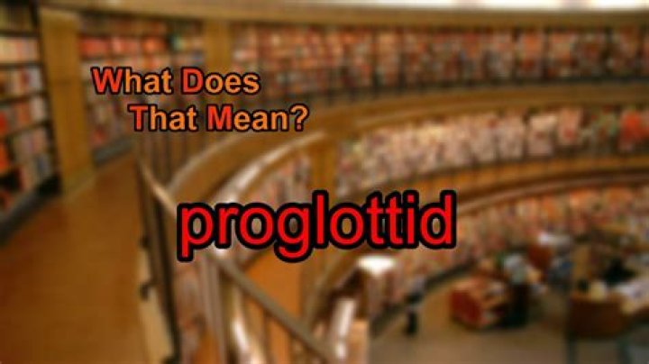 What does proglottid mean?