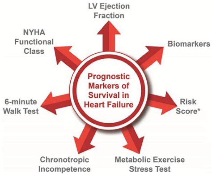What does prognostication mean in business?