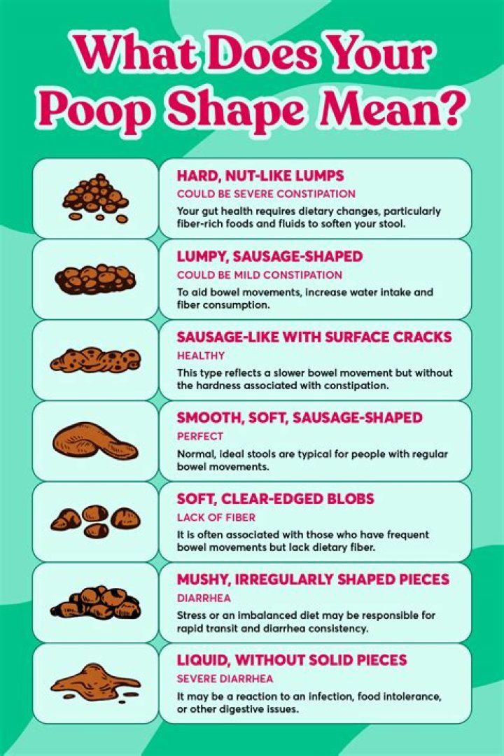 What does shape up mean?