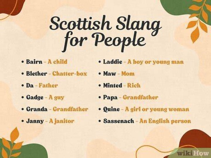 What does shoogle mean in scottish?