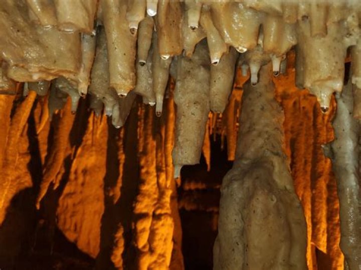 What does stalagmites mean?