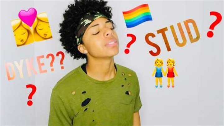 What does stud mean for a person?
