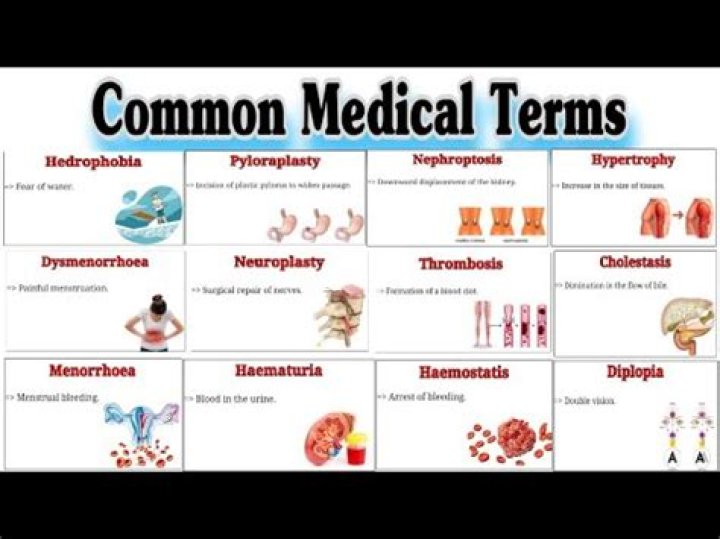 What does the medical term ovariorrhexis mean?