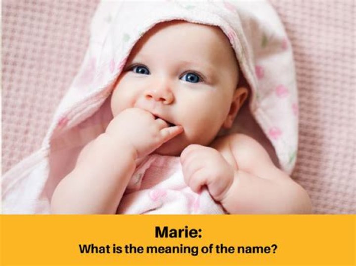 What does the name moonrat mean?