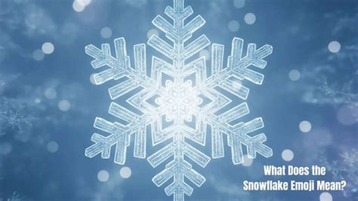 What does the snowflake emoji mean?