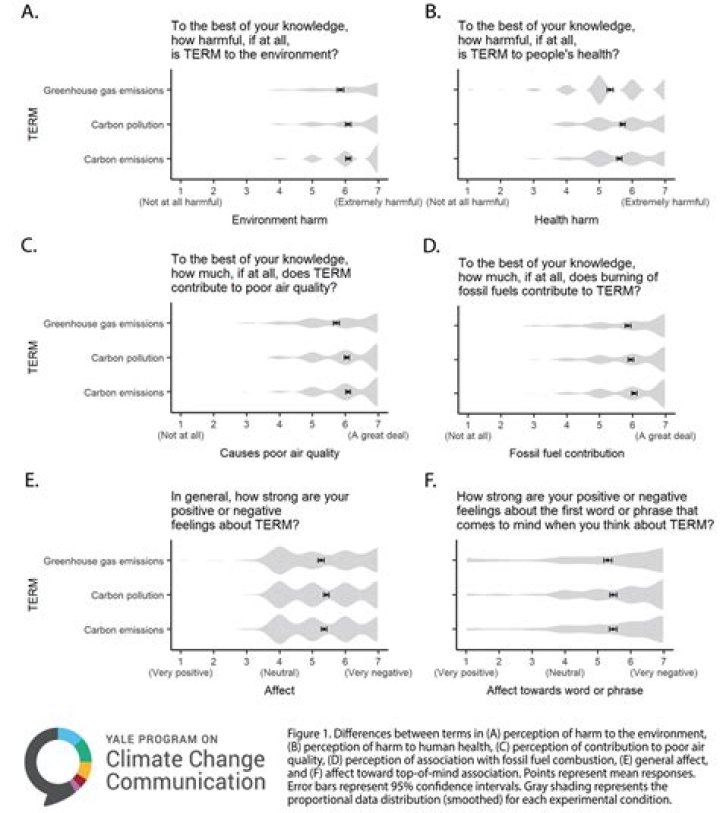 What does the term theanthropic meaning?