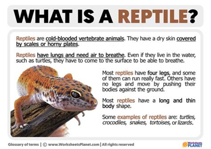 What does the word inferentially?